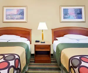 Photo 5 - Super 8 by Wyndham Mt. Pleasant