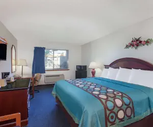 Photo 3 - Super 8 by Wyndham Selma/Fresno Area