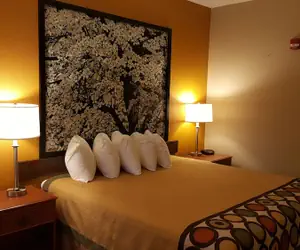 Photo 5 - Super 8 by Wyndham Central City