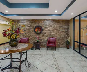 Photo 5 - Rodeway Inn Brandon - Jackson East