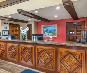 Photo 4 - Best Western Americana Inn