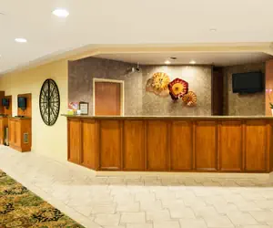 Photo 4 - Mediterranean Inn