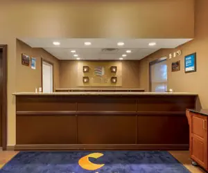 Photo 4 - Comfort Inn & Suites Fayetteville - University Area