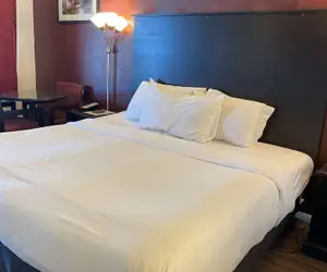 Photo 2 - Baymont by Wyndham Petoskey