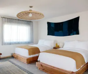 Photo 3 - Daunt's Albatross Motel