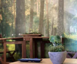 Photo 5 - Downtown Apt Walk to PPG Conv Center More