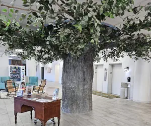 Photo 2 - Grand Smokies Resort Lodge