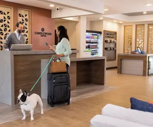 Photo 3 - Candlewood Suites Orange by IHG