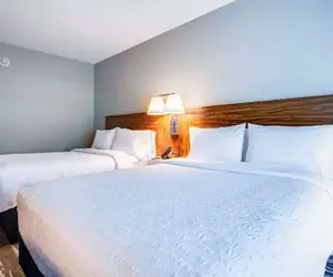 Photo 5 - Hampton Inn & Suites By Hilton Louisville East Oxmoor