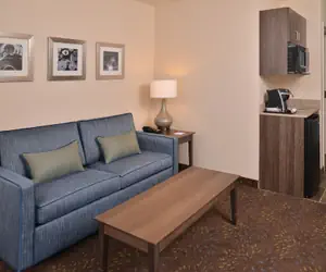 Photo 4 - Holiday Inn Express & Suites Dearborn SW - Detroit Area by IHG