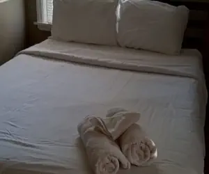 Photo 4 - Bradley Blissful