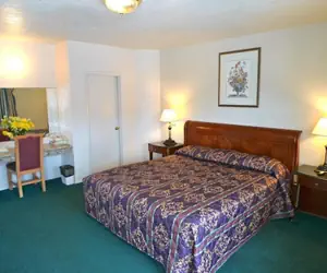 Photo 3 - Budget inn