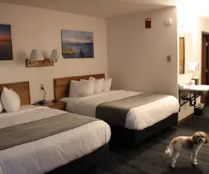 Photo 2 - Can Am Inn