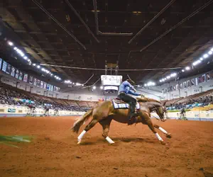 Photo 2 - Holiday Inn Express & Suites Moore by IHG