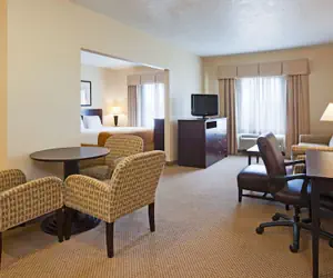 Photo 5 - Holiday Inn Express & Suites Brandon by IHG