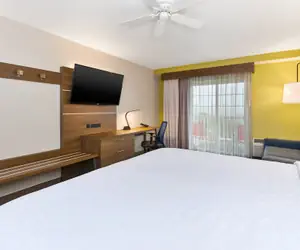 Photo 5 - Holiday Inn Express & Suites Petoskey by IHG