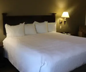 Photo 4 - Wingate By Wyndham Peoria