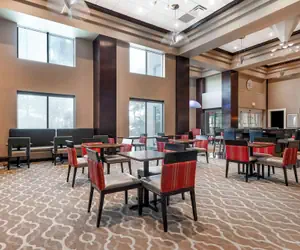 Photo 4 - Comfort Inn & Suites Tavares North