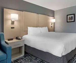 Photo 2 - Comfort Inn Hyannis - Cape Cod