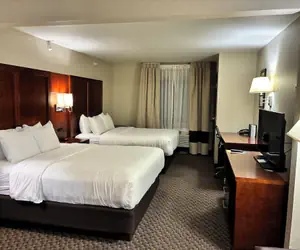 Photo 5 - Comfort Inn & Suites Sterling