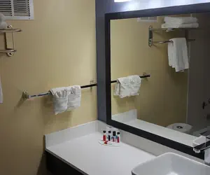 Photo 5 - Days Inn & Suites Grand Rapids Near Downtown