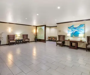 Photo 3 - Hawthorn Suites by Wyndham Lubbock