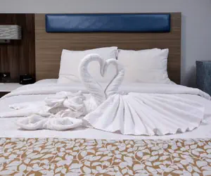 Photo 5 - Brookstone Lodge near Biltmore Village, an Ascend Collection Hotel