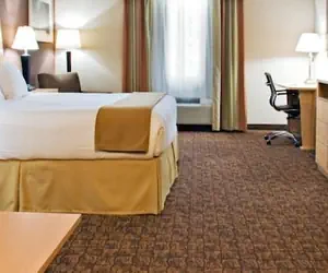 Photo 4 - Holiday Inn Express & Suites Borger by IHG