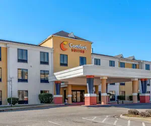 Photo 2 - Comfort Suites Airport South