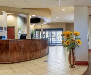 Photo 3 - Comfort Suites Airport South