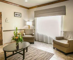 Photo 3 - Sleep Inn & Suites Gonzales near Palmetto State Park