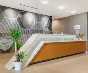 Photo 3 - SpringHill Suites by Marriott Charlotte Southwest