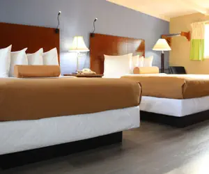 Photo 2 - Claremont Motor Lodge