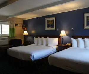 Photo 5 - Claremont Motor Lodge