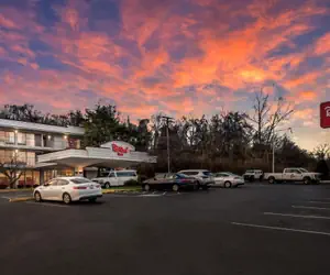 Photo 5 - Red Roof Inn Baltimore South Glen Burnie