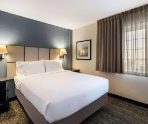 Photo 2 - Sonesta Simply Suites Atlanta Gwinnett Place