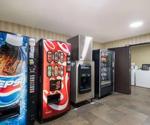 Photo 2 - Quality Inn & Suites Steamboat Springs