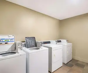 Photo 4 - Quality Inn & Suites Steamboat Springs