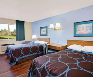 Photo 3 - Super 8 by Wyndham Newburgh/West Point Stewart Intl Airport