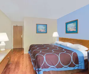 Photo 4 - Super 8 by Wyndham Newburgh/West Point Stewart Intl Airport