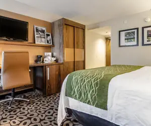 Photo 5 - Comfort Inn Raleigh Midtown