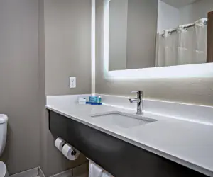 Photo 5 - Holiday Inn Express Hotel & Suites Kilgore North, an IHG Hotel