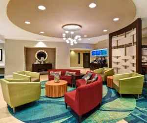 Photo 5 - SpringHill Suites by Marriott Baltimore BWI Airport