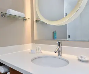 Photo 3 - SpringHill Suites Columbia Downtown The Vista