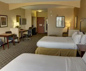 Photo 3 - Holiday Inn Express Hotel & Suites Texarkana East, an IHG Hotel