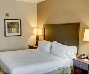 Photo 5 - Holiday Inn Express Hotel & Suites Texarkana East, an IHG Hotel