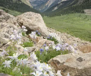 Photo 3 - Denver Marriott West