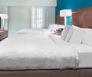 Photo 2 - Residence Inn by Marriott St. Louis Downtown