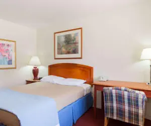 Photo 4 - Days Inn by Wyndham Castaic Six Flags Magic Mountain