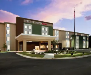 Photo 2 - SpringHill Suites by Marriott Mobile West